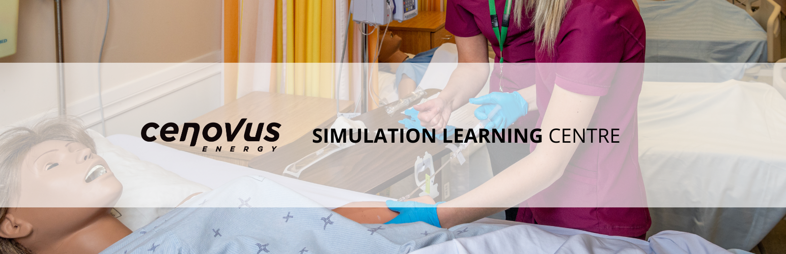 Simulation Learning Centre Header